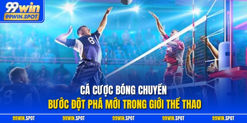 Cá Cược Bóng Chuyền – Bước Đột Phá Mới Trong Giới Thể Thao
