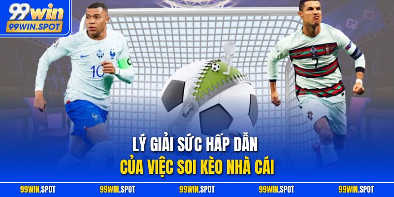 Lý giải sức hấp dẫn của việc soi kèo nhà cái